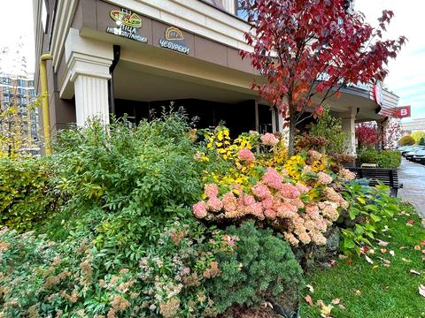 квартира по адресу Мартинова просп., 4