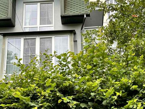 квартира по адресу Куликовская ул., 62