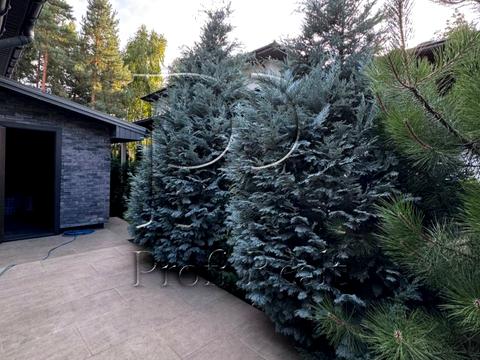 будинок за адресою Ірпінський луг вулиця