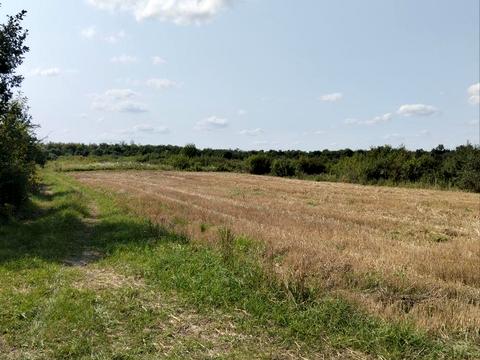 участок по адресу 