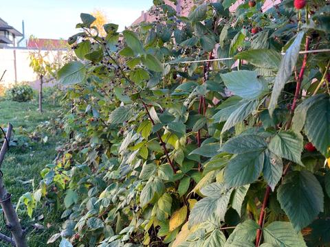 будинок за адресою Івана Колобова