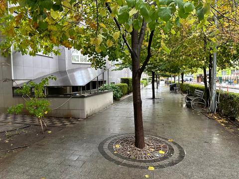 комерційна за адресою Європейська вул., 2-Б