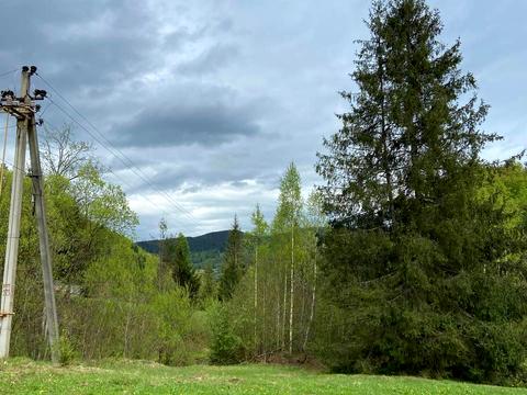 ділянка за адресою с. Микуличин, 