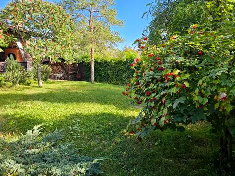 дом по адресу Ермолаївка