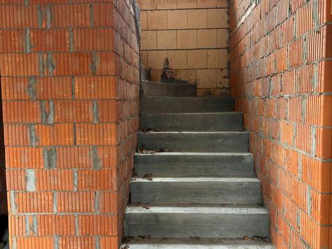 дом по адресу Академіка Ромоданова ул. (Льва Толстого)