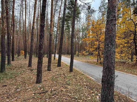 ділянка за адресою с. Верхоли, Лугова
