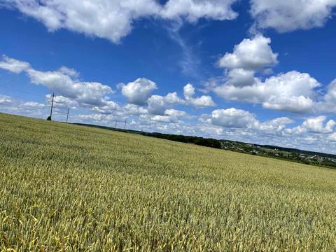 ділянка за адресою урочище гора