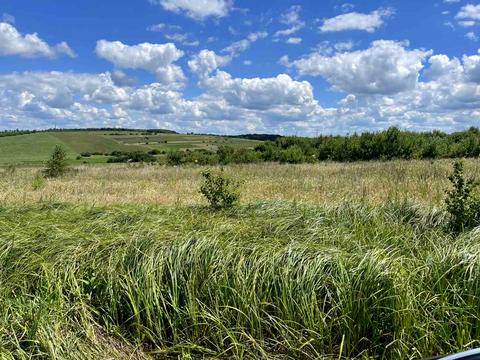 ділянка за адресою урочище гора