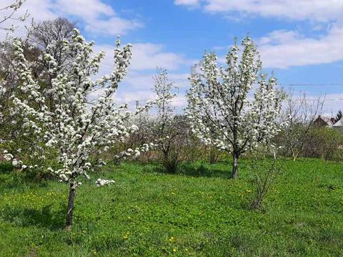 будинок за адресою Романа Сушка вул., 6