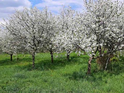 будинок за адресою Романа Сушка вул., 6