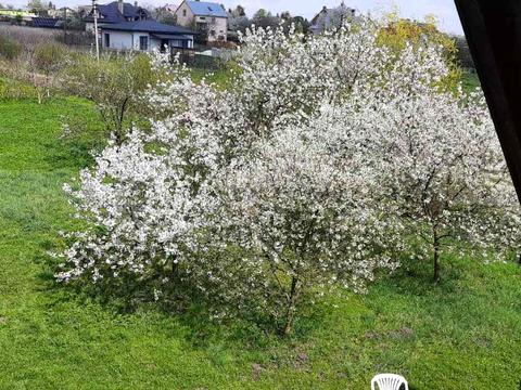 будинок за адресою Романа Сушка вул., 6