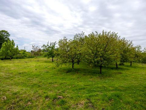 будинок за адресою Романа Сушка вул., 6