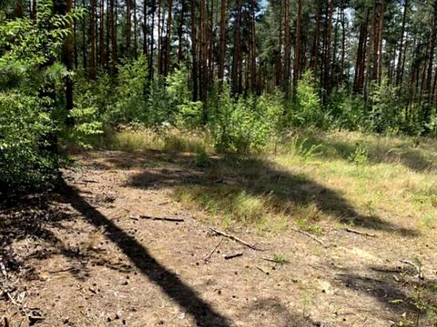 участок по адресу Радистов ул.