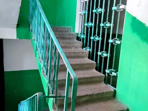 квартира по адресу Иорданская ул. (Лайоша Гавро), 3