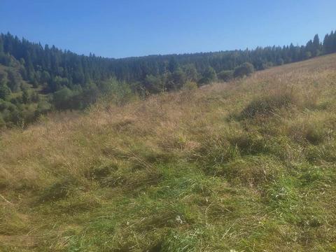 ділянка за адресою с. Верхнє Висоцьке, 