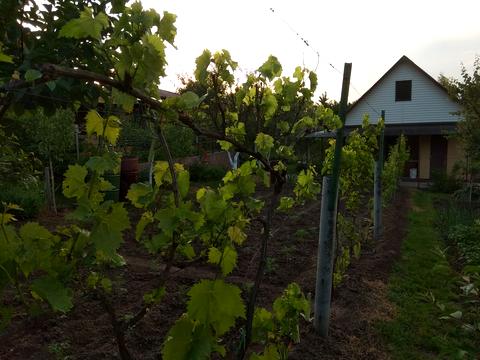 дом по адресу Лінія 7-а, 193