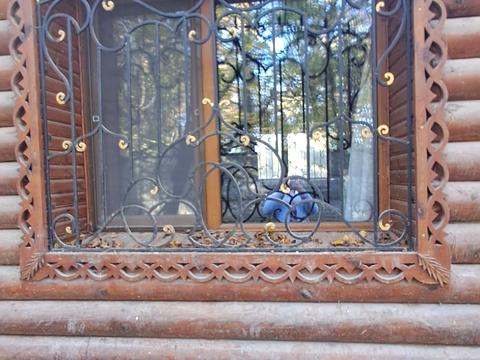 будинок за адресою Травнева