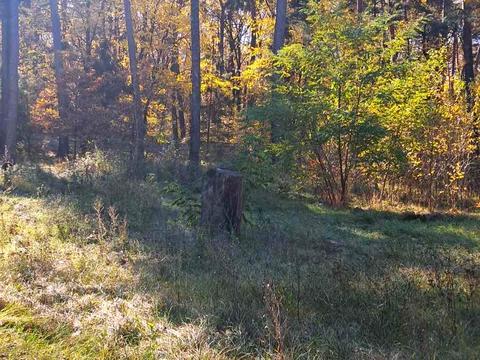 будинок за адресою Травнева