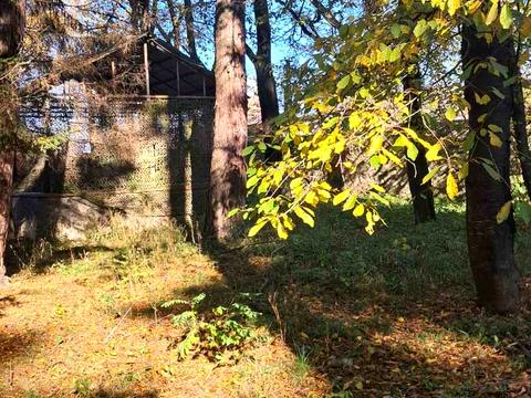 будинок за адресою Травнева