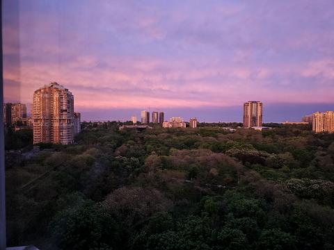 квартира за адресою Одеса, Добровольців вул. (Маршала Говорова), 11/1