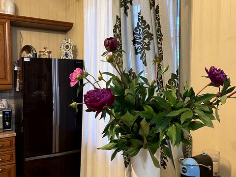 будинок за адресою Київ, ентузіастів, 12