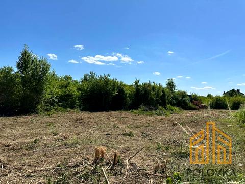 ділянка за адресою с. Невицьке, Парадний