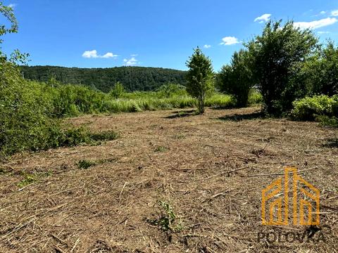 ділянка за адресою с. Невицьке, Парадний