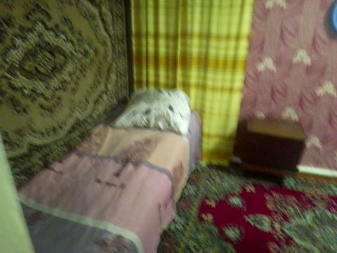 комната по адресу Леомонтова, 99