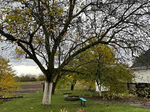 будинок за адресою Зруби