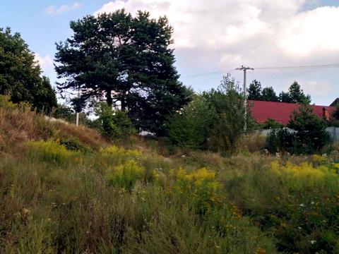 ділянка за адресою 