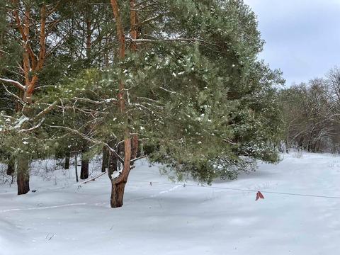 ділянка за адресою 