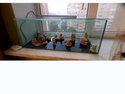 квартира за адресою Євгена Чикаленка вул., 59к