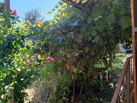 дом по адресу Шолом-Алейхема ул.