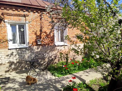 дом по адресу Шолом-Алейхема ул.