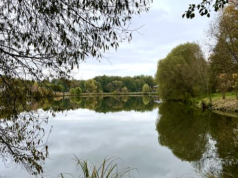 будинок за адресою Окружна, 11