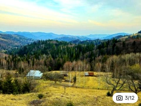 участок по адресу плоский, 2