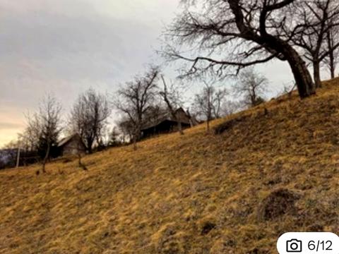 участок по адресу плоский, 2