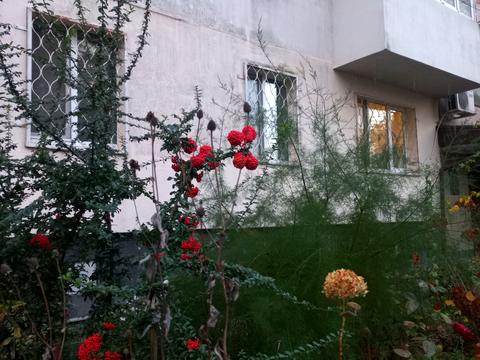 квартира за адресою Марсельська вул., 34