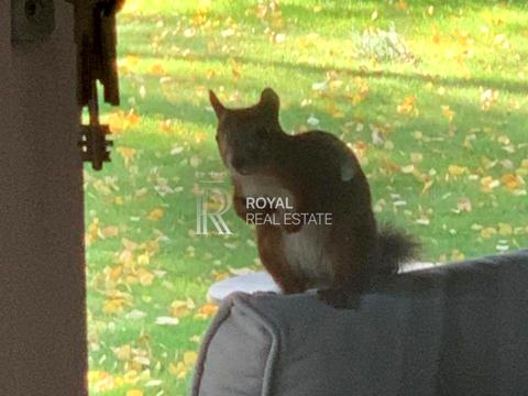 будинок за адресою Ірпінська вул.