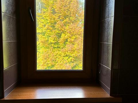 будинок за адресою Хлепча