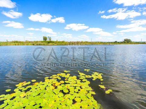 будинок за адресою Бориспільський район