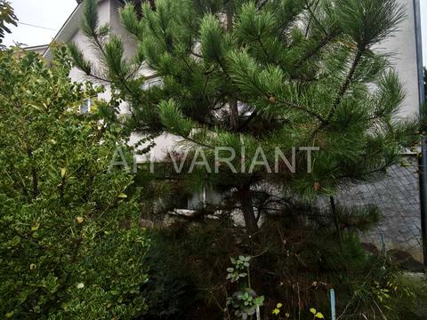 будинок за адресою Возз'єднання