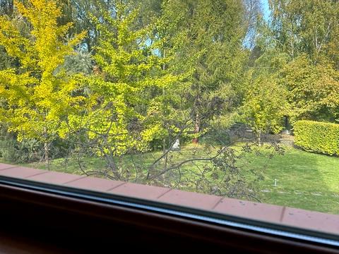 будинок за адресою Хлепча