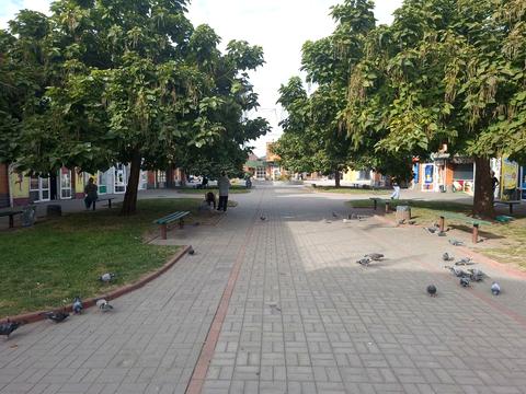 комерційна за адресою Таращанська вул., 191