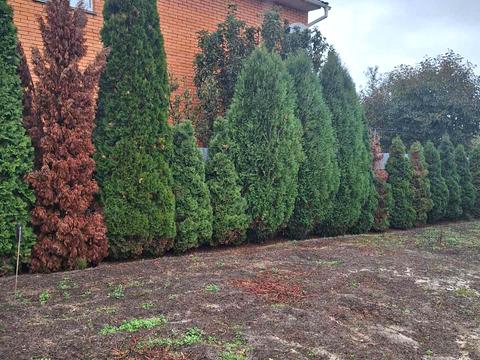 будинок за адресою Мостова, 26