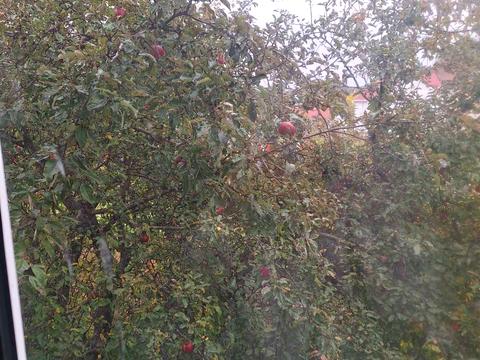 будинок за адресою Мостова, 26