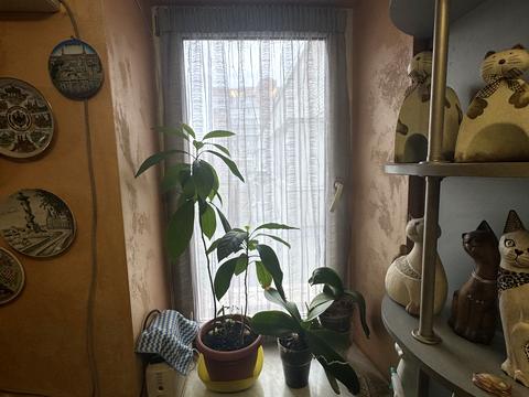 квартира за адресою Зарічанська вул., 52/2