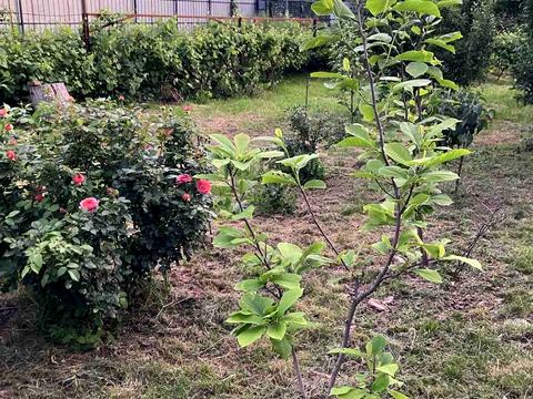 будинок за адресою Івана Войтенка, 5