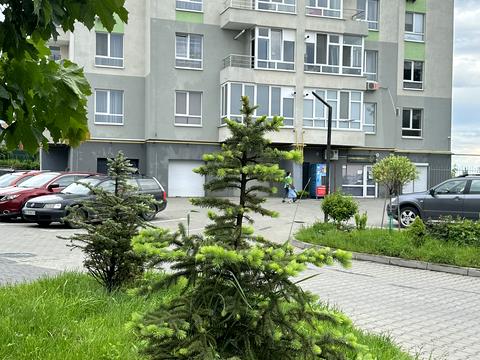 квартира за адресою Петлюри вул. (Купріна), 81