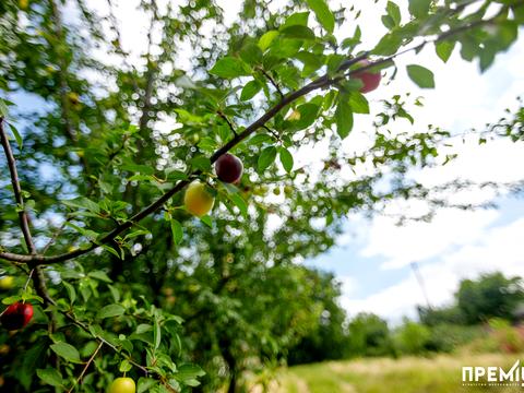 будинок за адресою Квіткова, 7